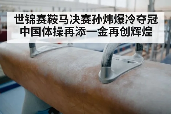 世锦赛鞍马决赛孙炜爆冷夺冠 中国体操再添一金再创辉煌