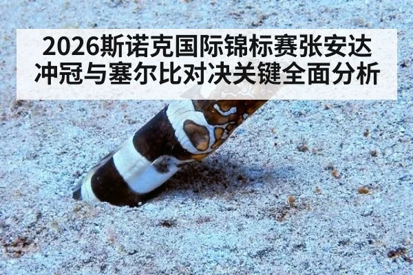 2026斯诺克国际锦标赛张安达冲冠与塞尔比对决关键全面分析